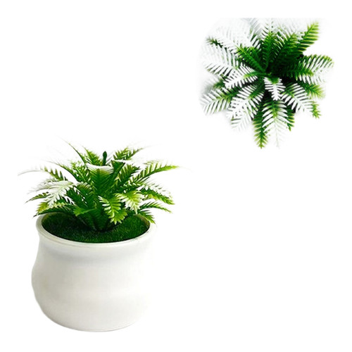 Plante pot caoutchouc - pot,