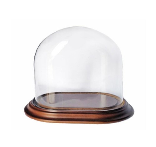 Cloche verre ovale avec - cloche,
