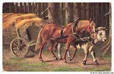 BY-BFP2-1030-CHEVAL - UN CHEVAL ET UN BOEUF TIRANT UNE CHARETTE