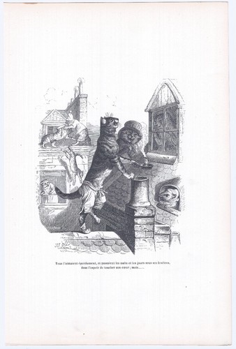 Animaux savants granville 1842 - savants,