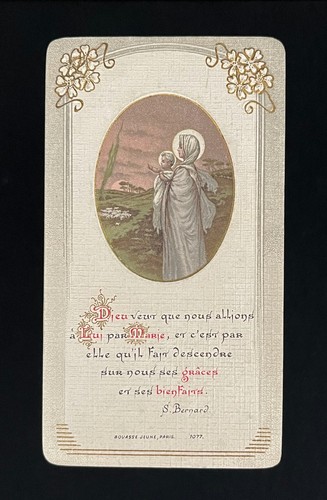 Image pieuse bouasse jeune - image,