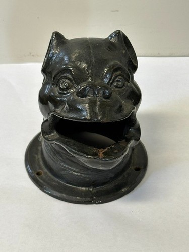 Ancienne tête chien - chien, en