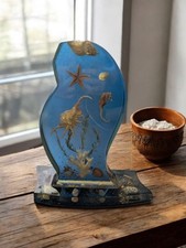 Cabinet De Curiosités - Artisanat - Inclusion Marine - Coquillages Hippocampes
