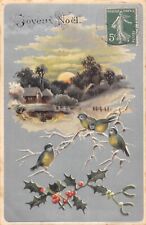 CPA FANTAISIE REPRESENTANT 2 OISEAUX / JOYEUX NOEL