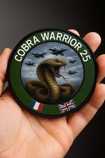 Écusson Patch Cobra Warrior Armée De L'air