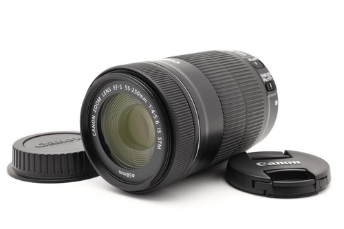 Objectif canon efs 250mm - efs, 55-250mm