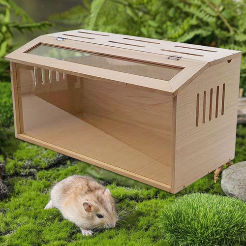 Boîte incubatrice pour - boîte,