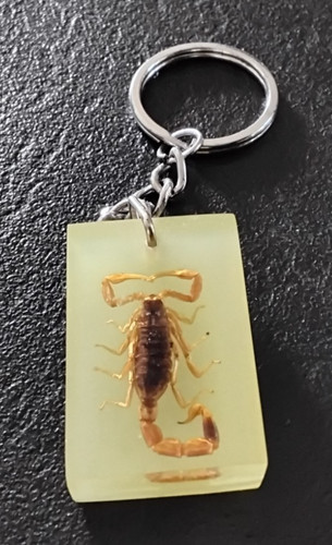 Porte clés véritable - porte,