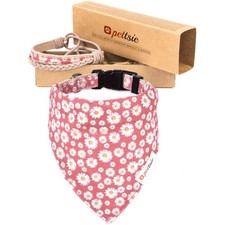 Collier Bandana pour Chien