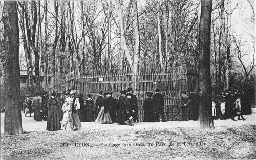 Cpa lyon la cage - cpa,