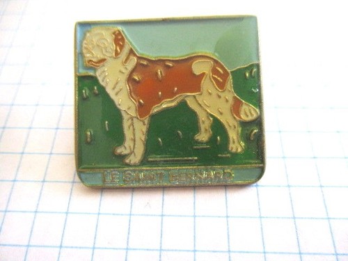 Pins rare vintage saint - pins,