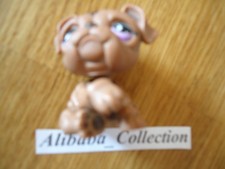 ** # 881 Chien Dog Bouledogue