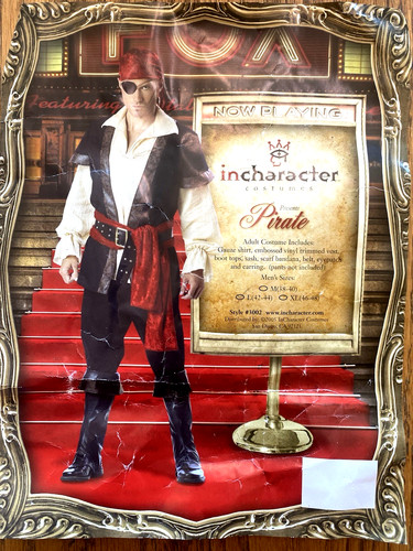 Vintage incharacter costume - incharacter, 8