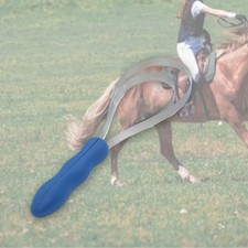 Grattoir à poils double face