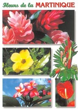 972-MARTINIQUE FRANGIPANIER-N�4202-A/0391