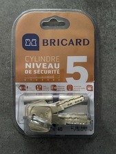 Cylindre Bricard securité