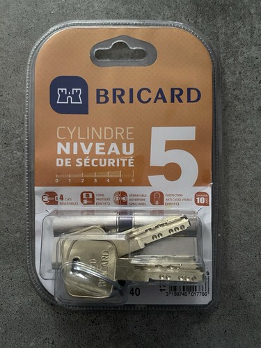 Cylindre bricard securité - cylindre,