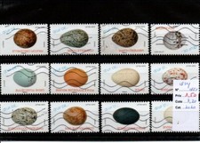 France " Les oeufs  " (2020)