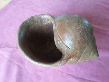 Très Gros Coquillage Escargot : Cache pot en Terre Cuite Vernie