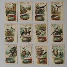 12 CHROMOS ANCIENS thème oiseaux : OEUFS ET NIDS