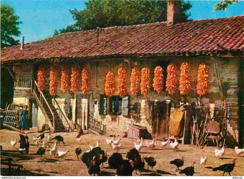 Carte postale ain - -,