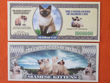 4 Factures : Siamois Chats &