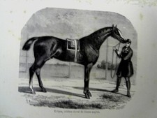 CHEVAUX - 2 GRAVURES SIGNEE 19