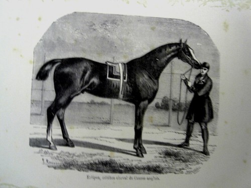 Chevaux gravures signee - chevaux, 19