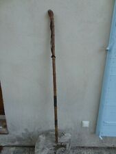 ancienne canne en racine de