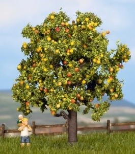 Noch fruit tree apple - -,