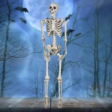 Squelettes articulés mobiles