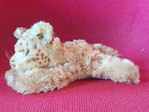Jolie panthere ours - ours, peluche