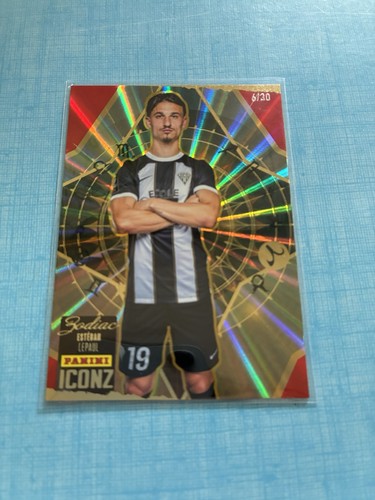Panini iconz sco angers - panini,