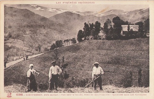 Rieupregon faneurs dans - 09,
