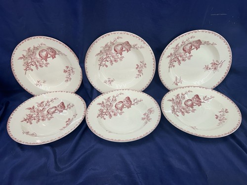 Belles assiettes creuses - 6,