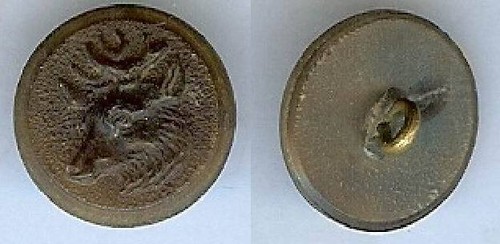 Veneer button unidentified - button,