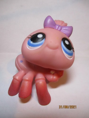 Petshop araignee 258 avec - /,