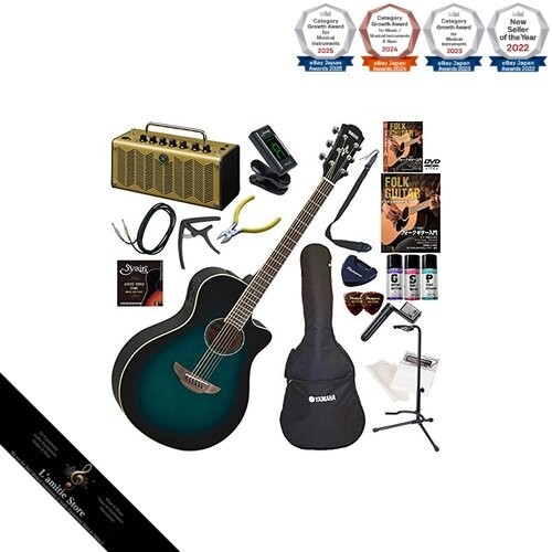 Guitare acoustique électrique