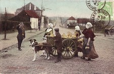 CPA -BELGIQUE-   Attelage de chiens - Laitières - Halte.