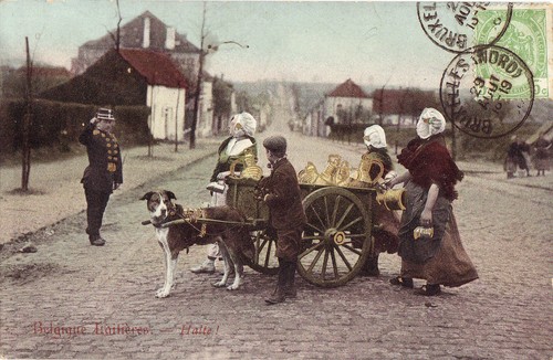 Cpa belgique attelage - cpa,