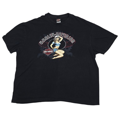 Harley davidson pinup girl - pinup,