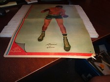 Boxing colour poster insert