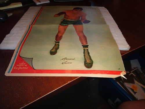 Boxing colour poster insert