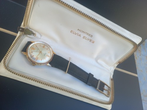 Montre automatique elvia homme - montre,