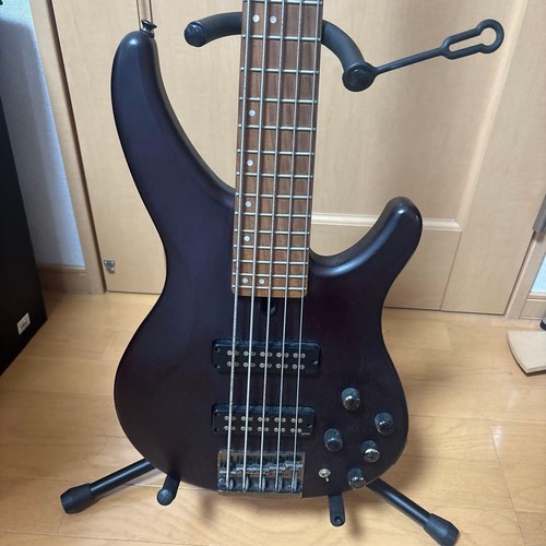 Guitare basse électrique