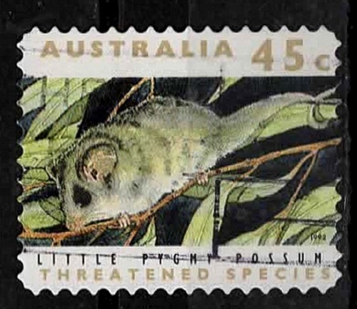 1992 australie animaux - animaux, en