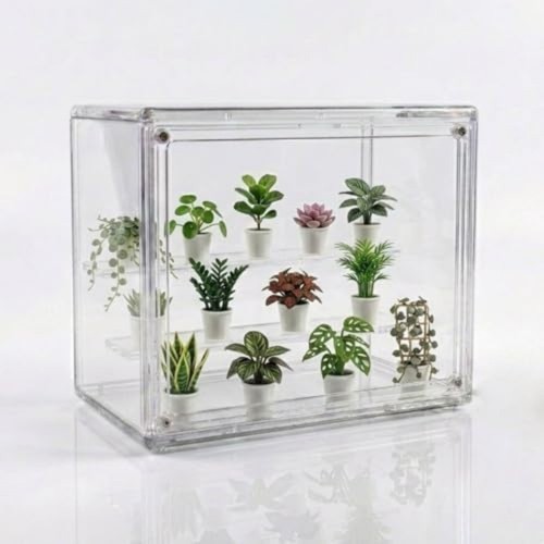Serre compacte pour plantes