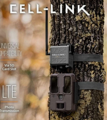 Combo bushnell trophy cam - -,
