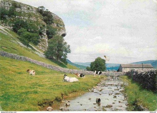 Carte postale animaux - postale,