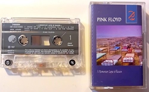 Pink floyd momentary - floyd, lapse